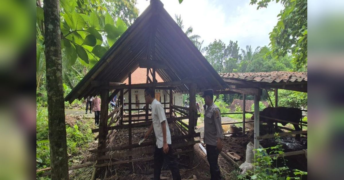 Waspada! Pencurian Ternak Meningkat di Kulon Progo Jelang Lebaran