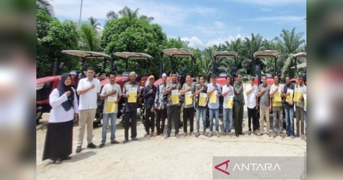 14 Kelompok Tani Madina Terima Bantuan Alsintan dari Kementan, Dorong Peningkatan Produktivitas Padi