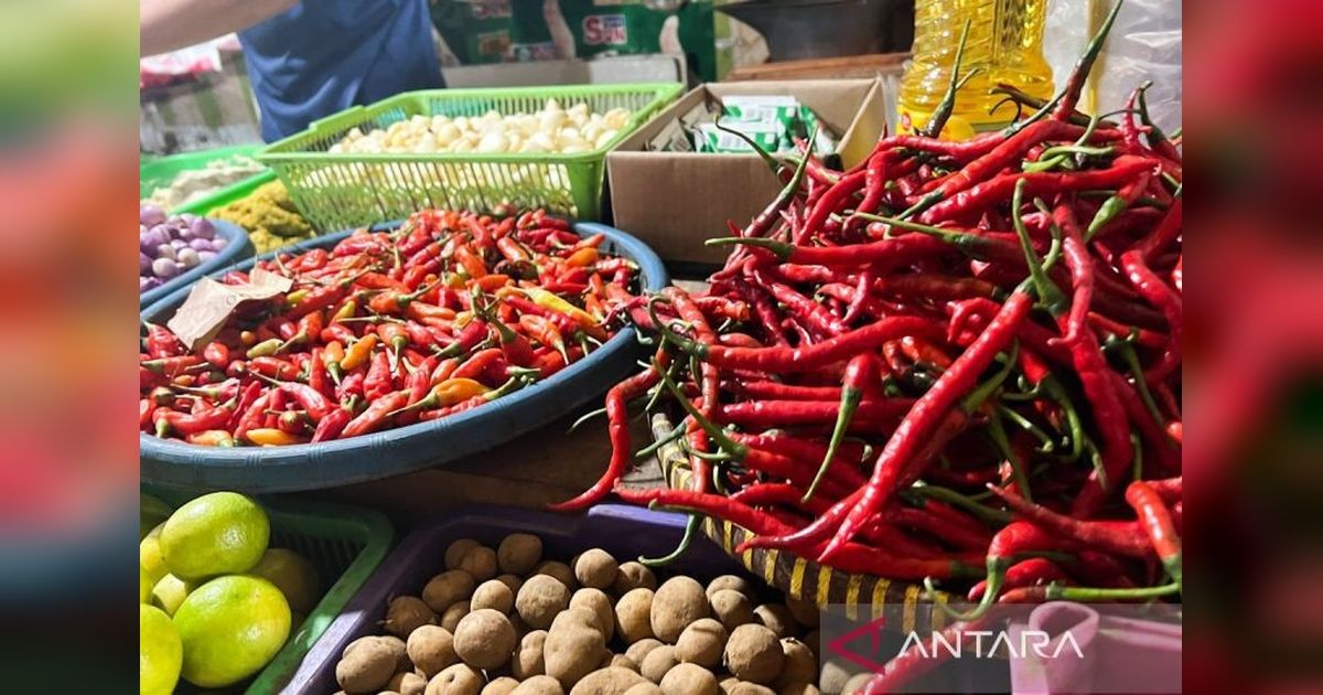 Bapanas Perkuat Regulasi Keamanan Pangan Segar: Jaminan Kesehatan dan Daya Saing Produk Indonesia