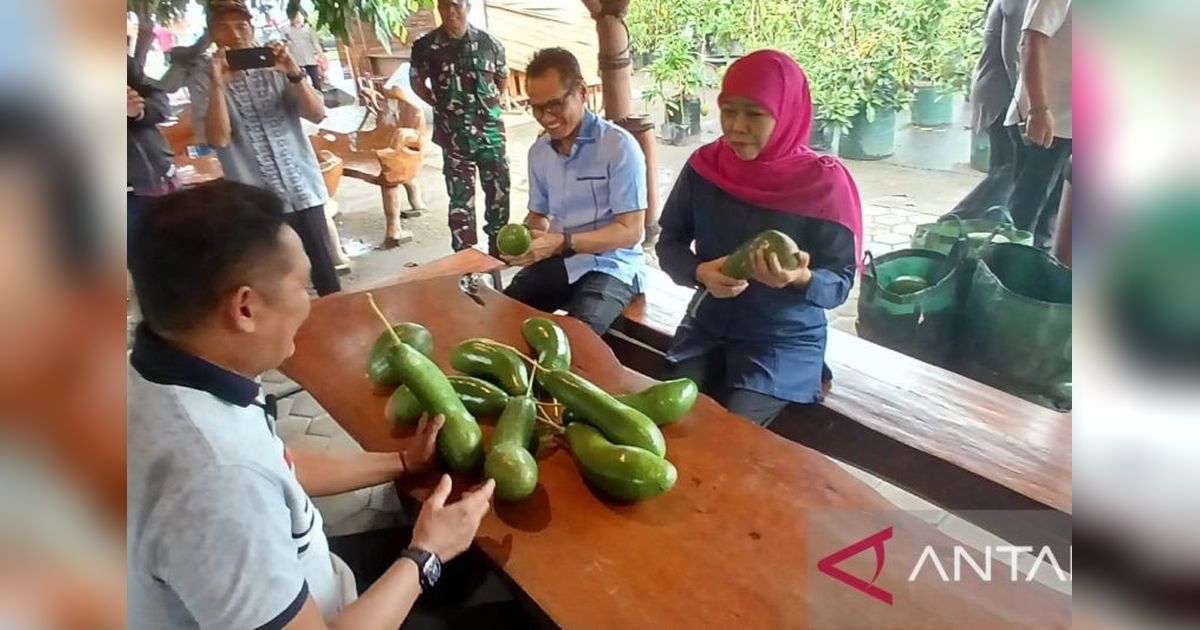 Gubernur Jatim Dorong Petani Patenkan Alpukat Kelud, Inovasi Unggulan dari Kediri