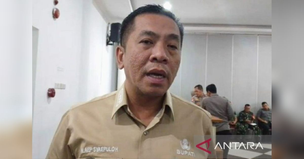 Bupati Karawang Pastikan PJU di Jalur Mudik Lebaran 2025 Fungsi Optimal