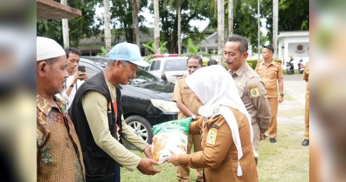 Pemkab Sinjai Tingkatkan Produktivitas Jagung, Bagikan Benih Hibrida Jafran