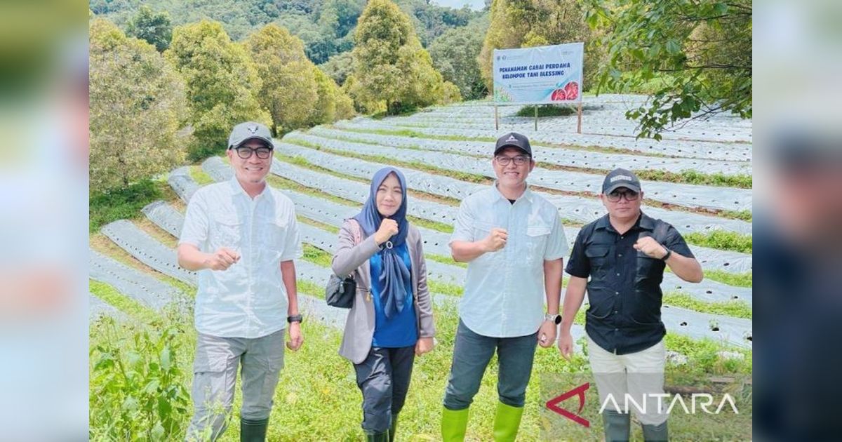 BI Berikan Bantuan Alsintan dan Saprodi untuk Tingkatkan Produktivitas Pertanian di Boltim