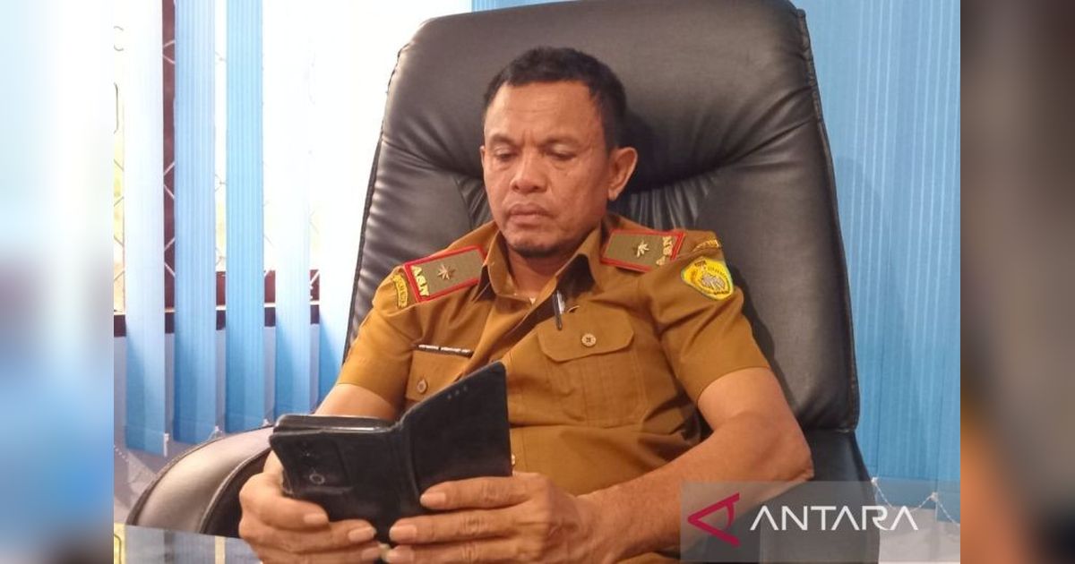 Produksi Gabah Baubau Meningkat: Tembus 4,8 Ton per Hektare!