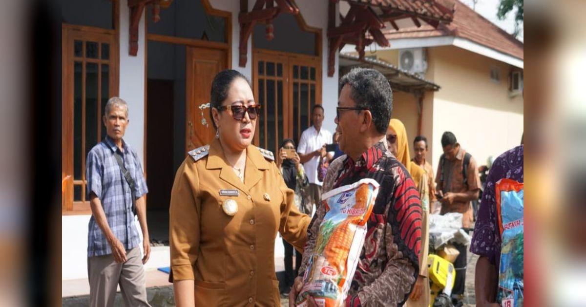 Gunungkidul Tingkatkan Produksi Jagung, 1.269 Hektare Lahan Terima Bantuan Benih