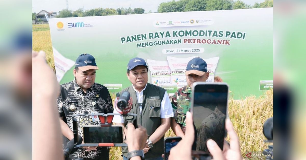 Pupuk Petroganik Dongkrak Produktivitas Padi Blora hingga 17,2 Persen!