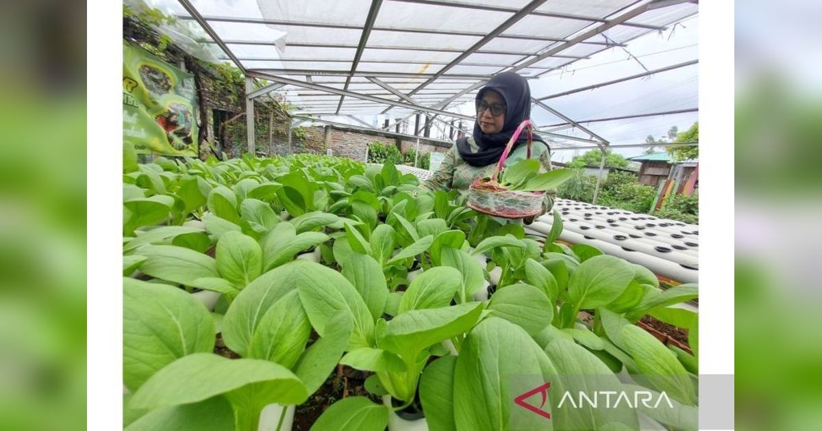 Kampung Jimpitan: Wajah Nyata Kebersamaan dan Kemandirian Warga