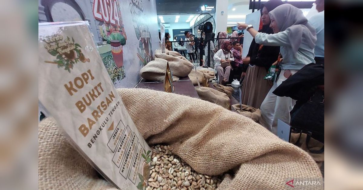 Kopi Bengkulu: Upaya Membangun Primadona Baru di Industri Kopi Indonesia