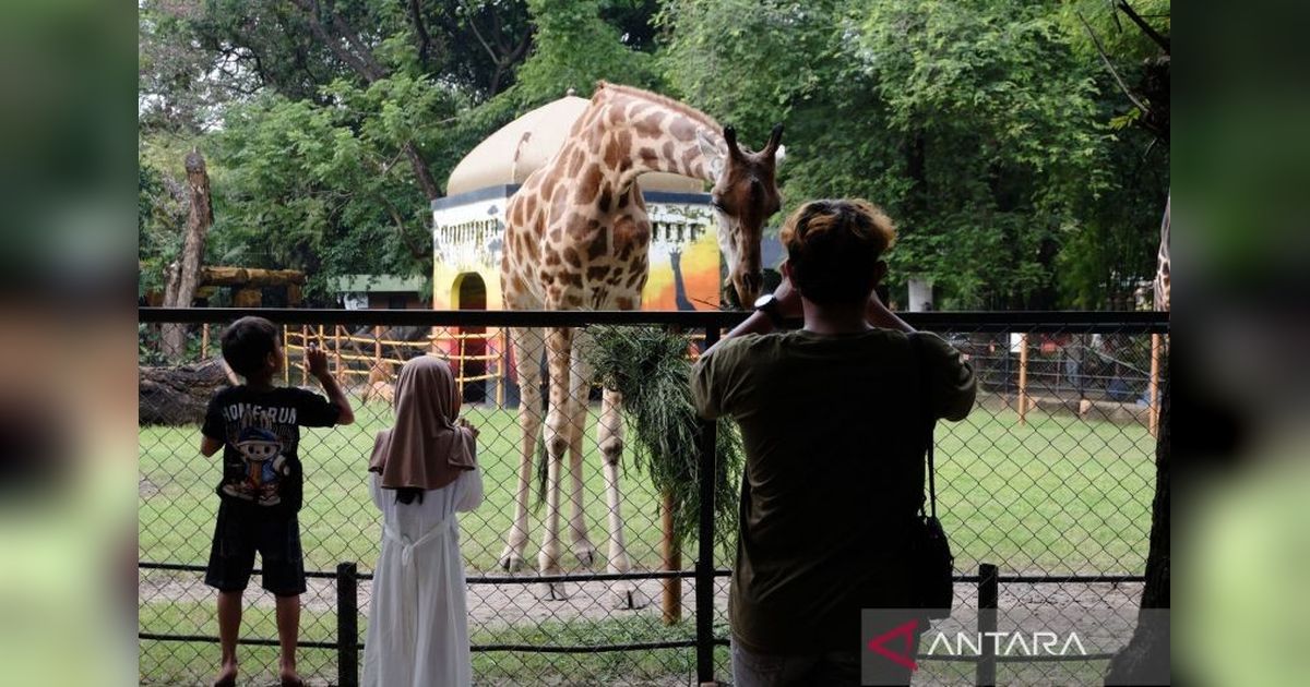 KBS Hadirkan Wahana Baru dan Satwa Eksotis, Tarik Wisatawan Libur Lebaran