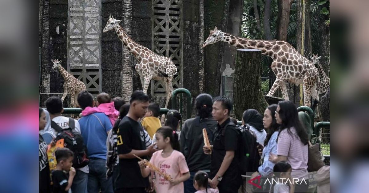 Waspada Post Holiday Blues: Kenali Tandanya dan Cara Mengatasinya