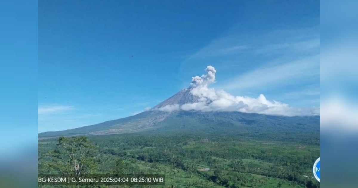 Semeru Erupsi Empat Kali, Letusan Capai 800 Meter!