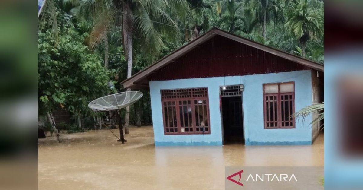 Banjir Aceh Selatan: BMKG Ungkap Peran Gelombang Rossby Ekuatorial