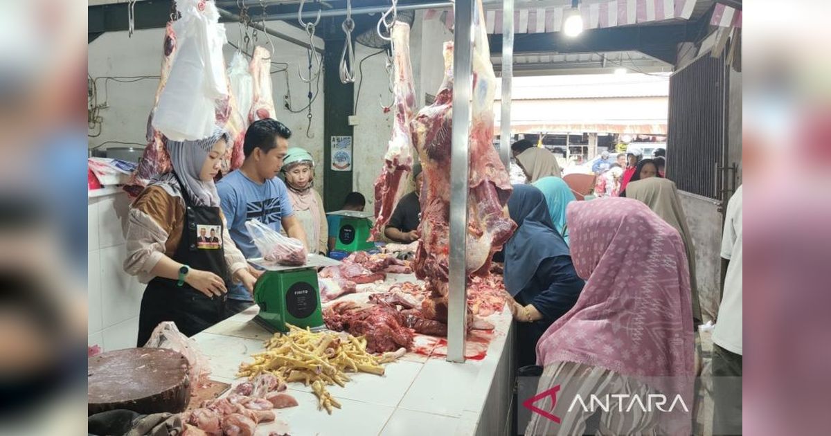 Harga Daging Sapi di Tanjung Selor Normal Kembali, Turun Jadi Rp165 Ribu per Kilogram