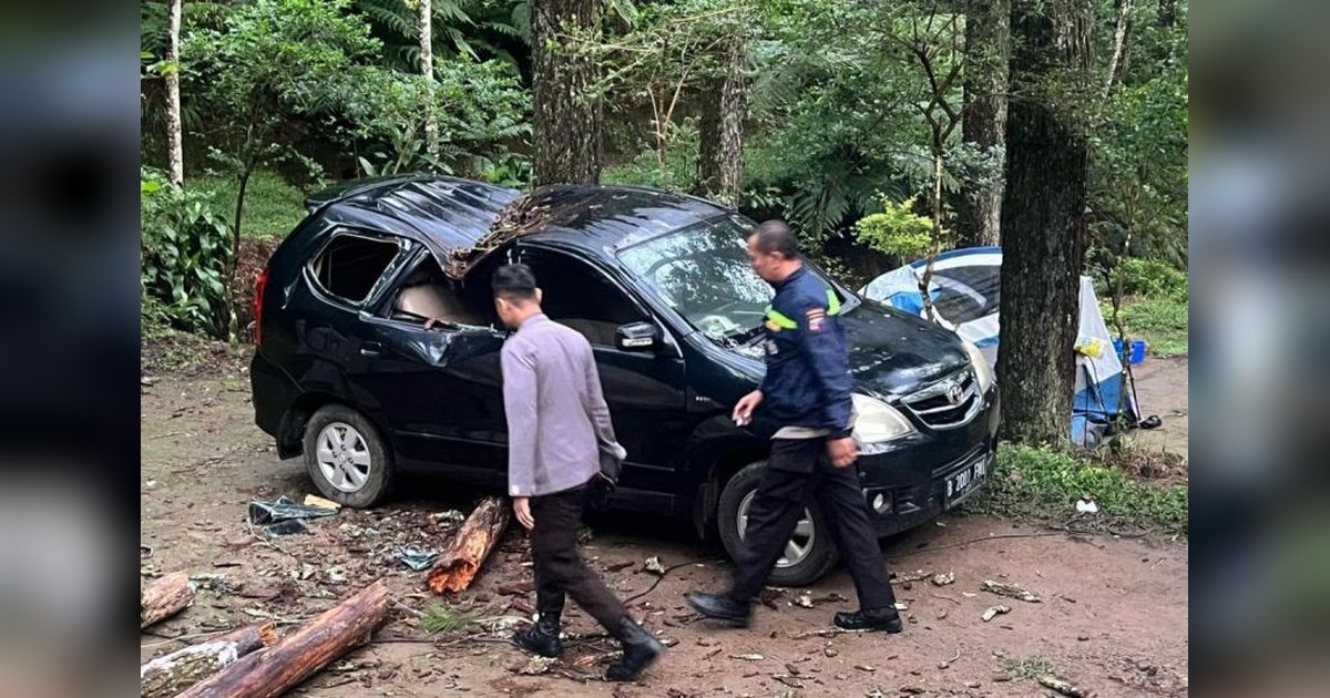 Tragis! Wisatawan Bocah Tewas Tertimpa Pohon di Perkemahan Karanganyar