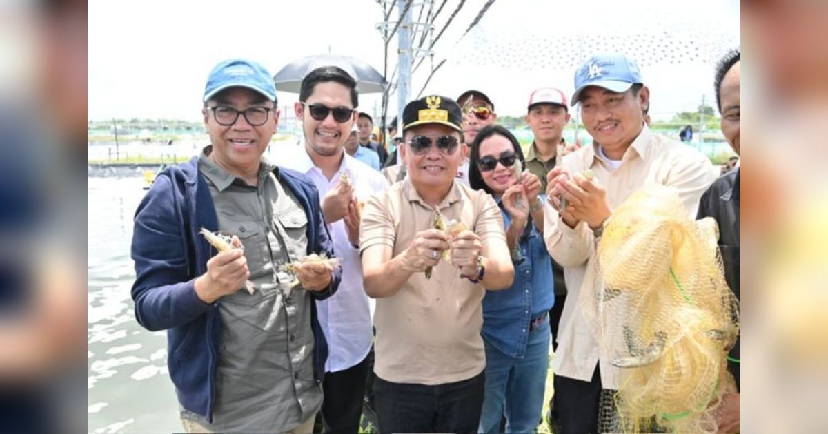 Shrimp Estate Kalteng: Proyeksi Gubernur untuk Kawasan Ekonomi Produktif