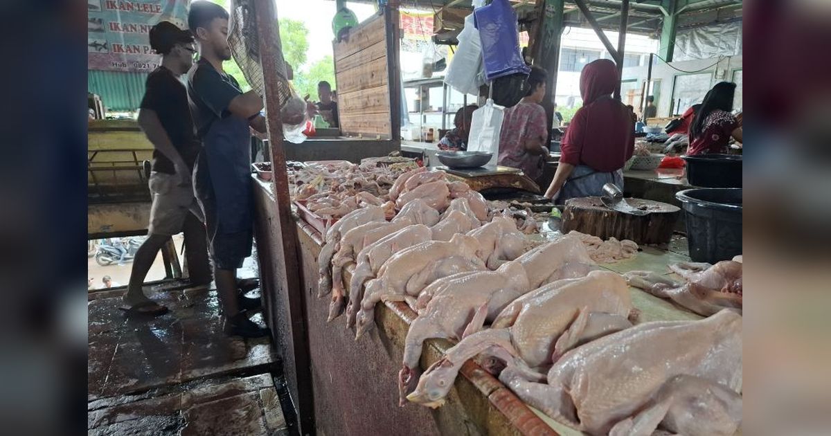 Harga Bahan Pangan di Lampung Stabil Selama Lebaran 2025