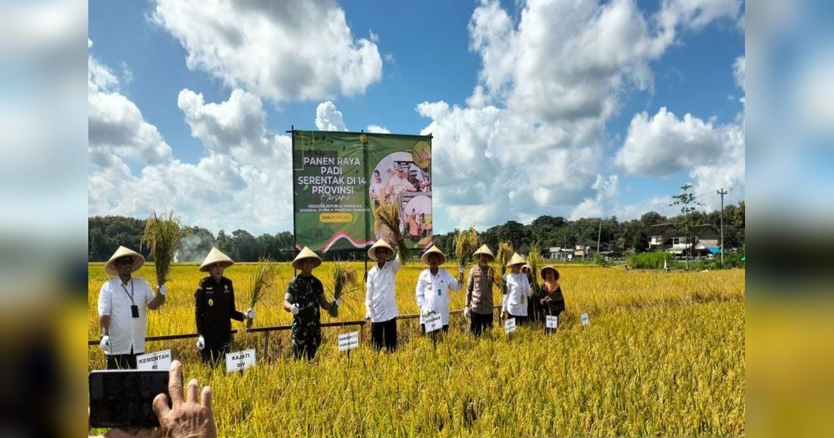Sultan HB X Minta Petani Kulon Progo Daftarkan Lahan Abadi, Jamin Ketahanan Pangan DIY
