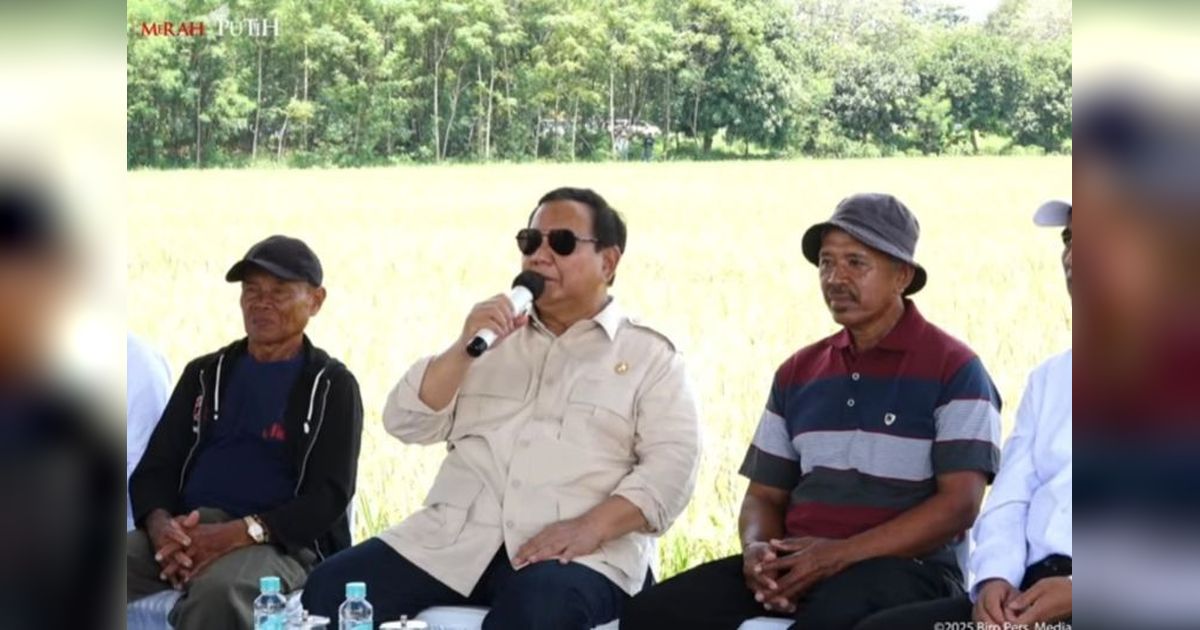 Indef Dorong 5 Langkah Akselerasi Swasembada Pangan Pasca Panen Raya