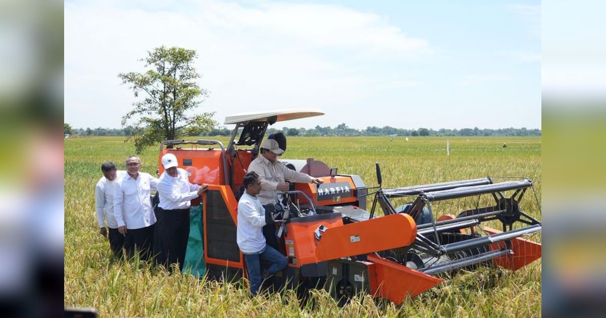 Panen Raya Serentak: Bukti Indonesia Menuju Swasembada Beras