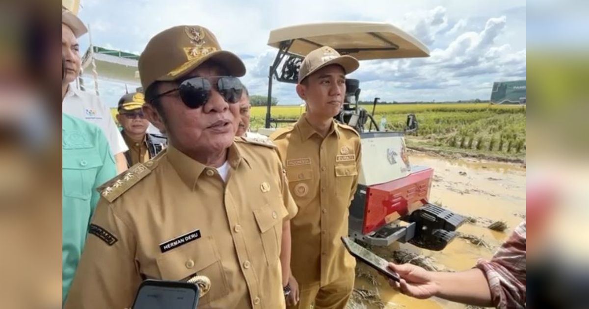 Sumsel Bidik Produksi Padi 3,5 Juta Ton pada 2025, Raih Peringkat Lima Besar Nasional?