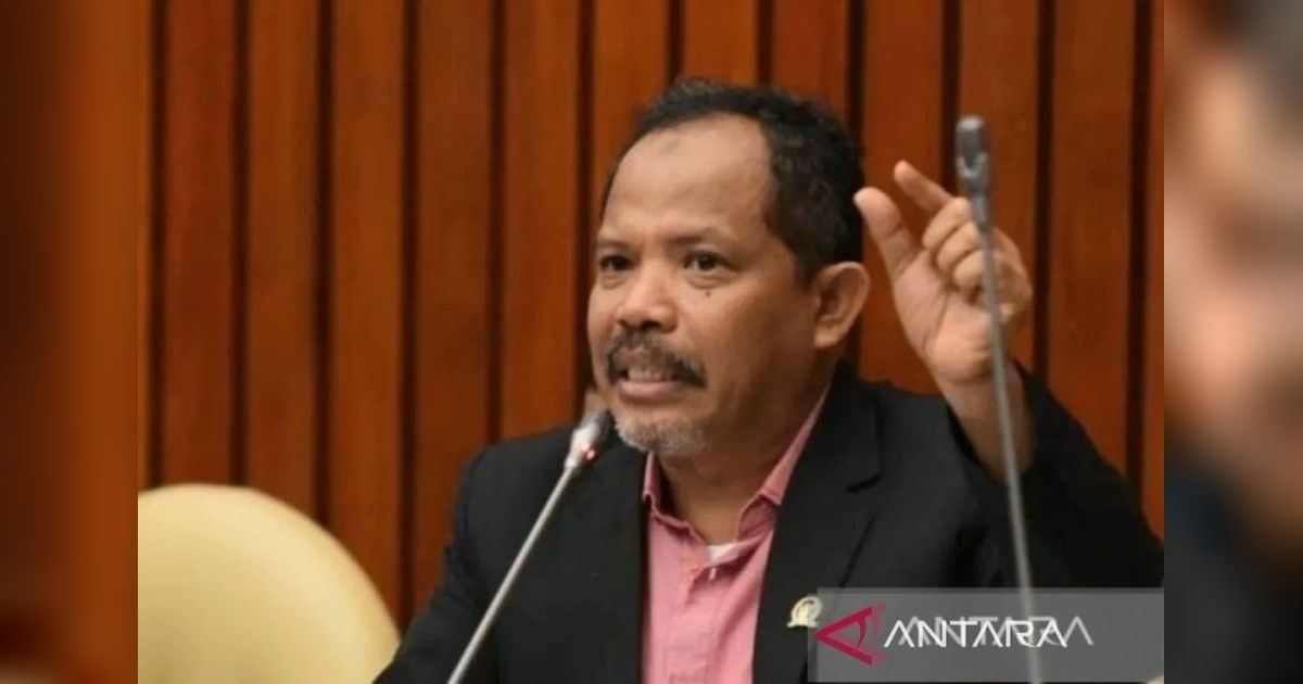 DPR Desak Pemerintah Tindak Tegas Penindasan Petani Jagung Sumbawa