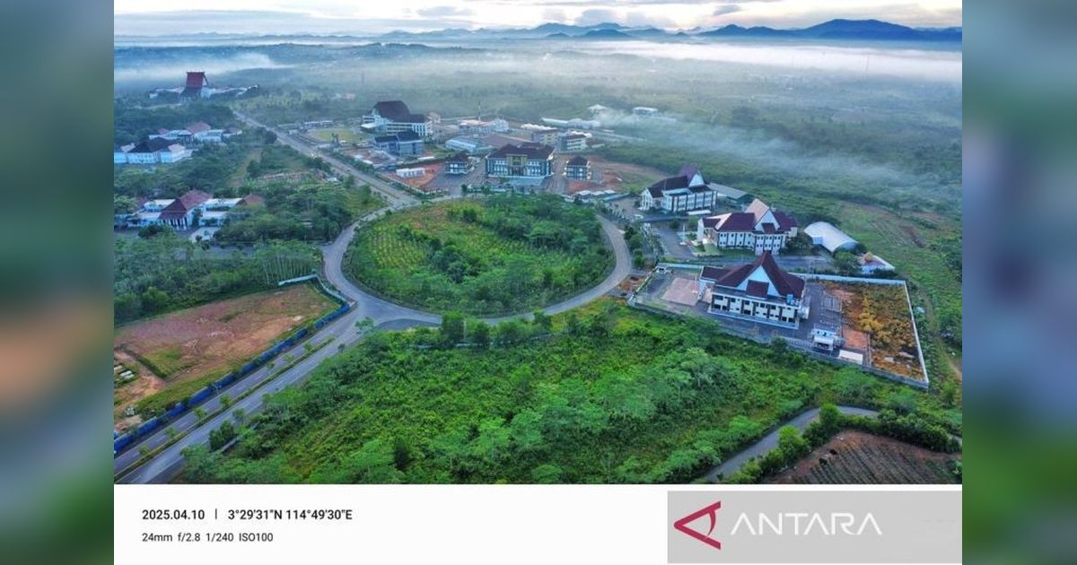 Dishut Kalsel Kembangkan Eucalyptus untuk Perkuat Ekosistem Hijau di Forest City
