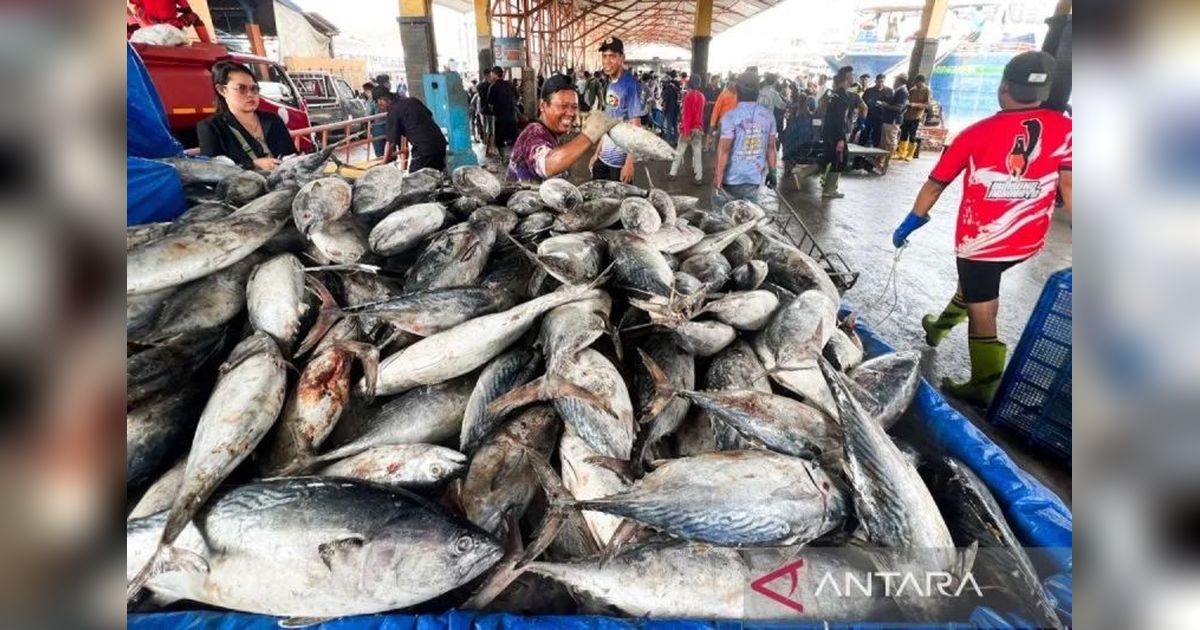 KKP Perketat Pengawasan Mutu Ikan Impor: Lindungi Konsumen dari Produk Tak Layak Konsumsi