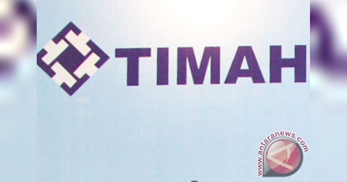 PT Timah Bangun Dua PLTS di Kampung Reklamasi: Langkah Menuju Energi Hijau