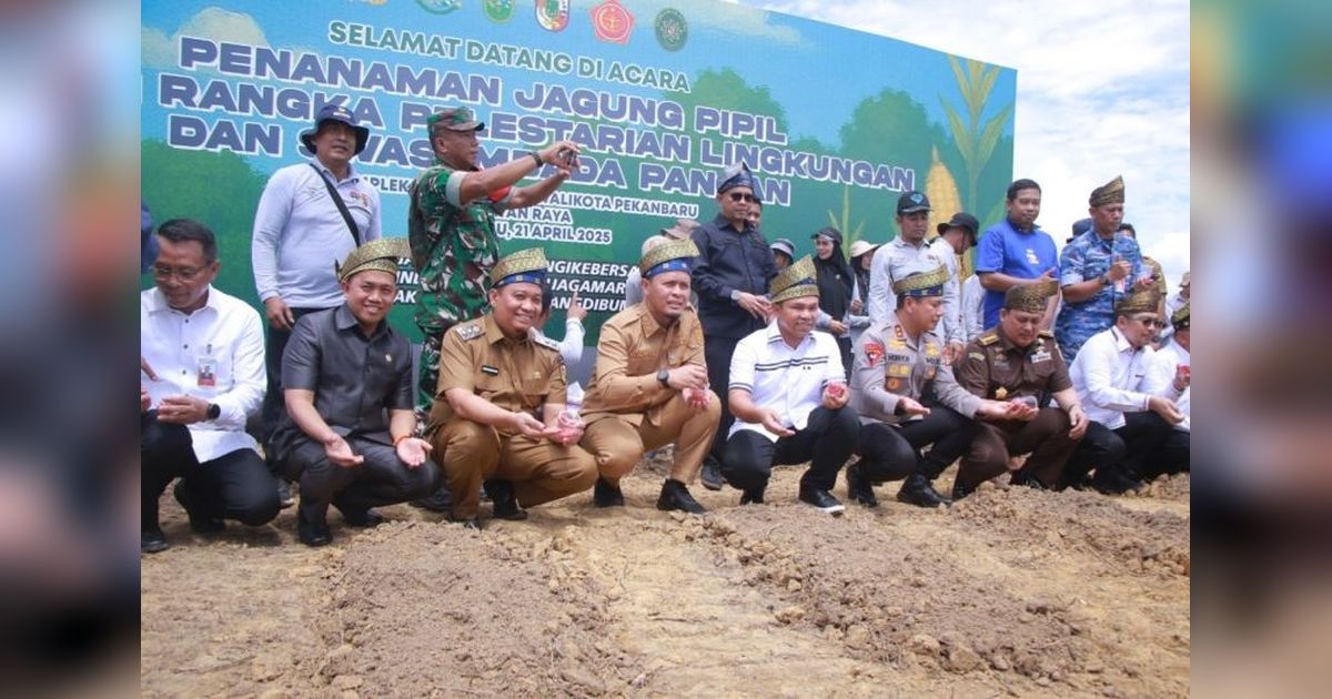 Pemkot Pekanbaru Tanam 15 Ribu Jagung Pipil di Lahan Tidur, Wujudkan Swasembada Pangan