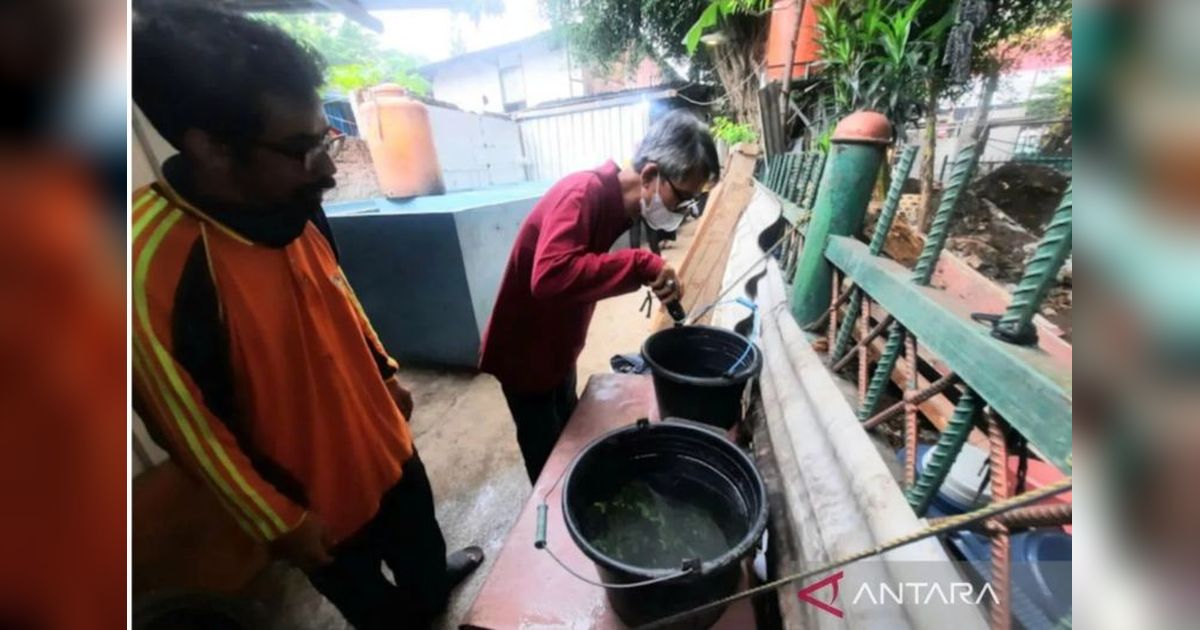 524 Kasus DBD di Jaktim, Pemkot Imbau Warga Bersihkan Lingkungan