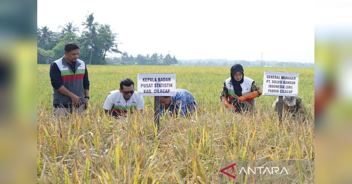 SIG Sukses Tingkatkan Produktivitas Pertanian di Lahan Suboptimal Cilacap