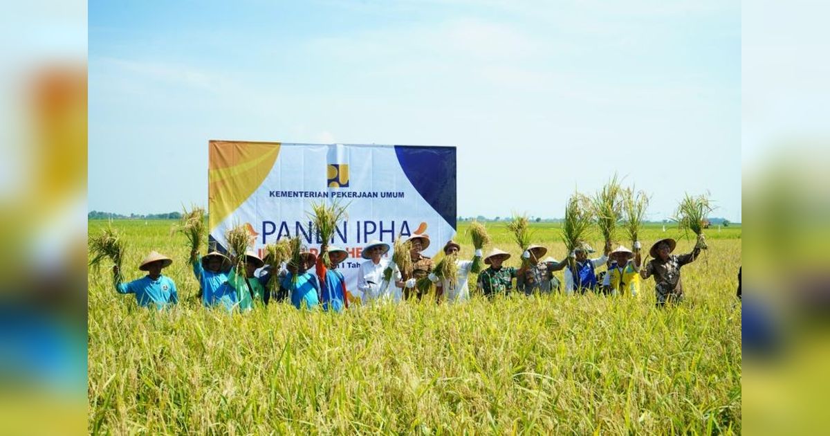Metode Irigasi Hemat Air (IPHA) Dongkrak Produktivitas Padi Indramayu, Menteri PU Dorong Perluasan