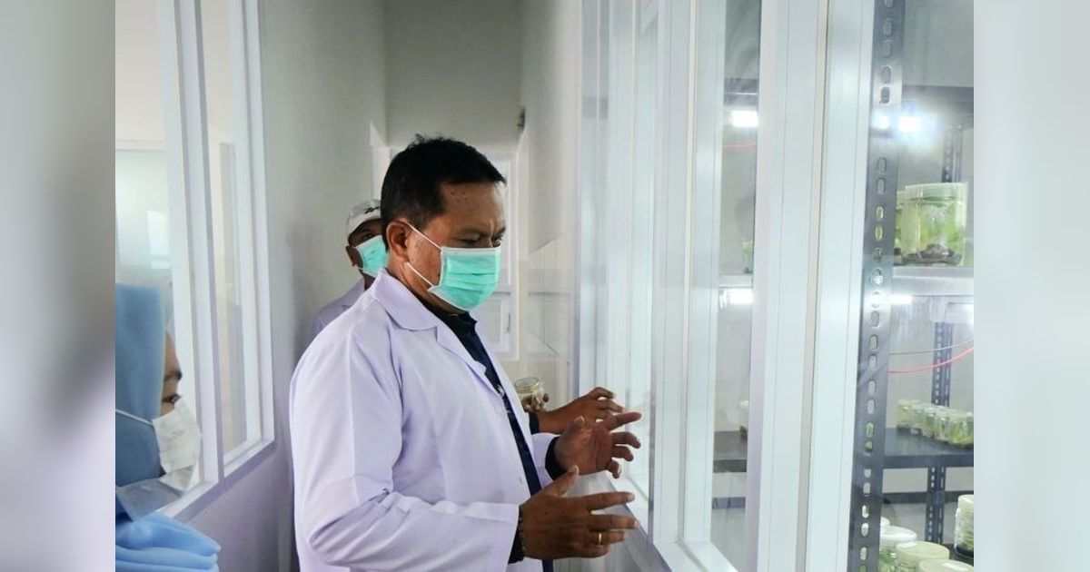 Laboratorium Kultur Jaringan Madiun: Inovasi Pertanian untuk Ketahanan Pangan
