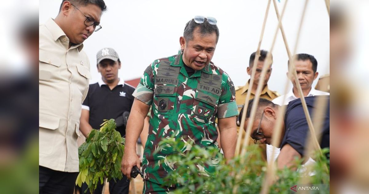 TNI AD Bangun Titik Air di Sukabumi, Wujudkan Ketahanan Pangan Nasional