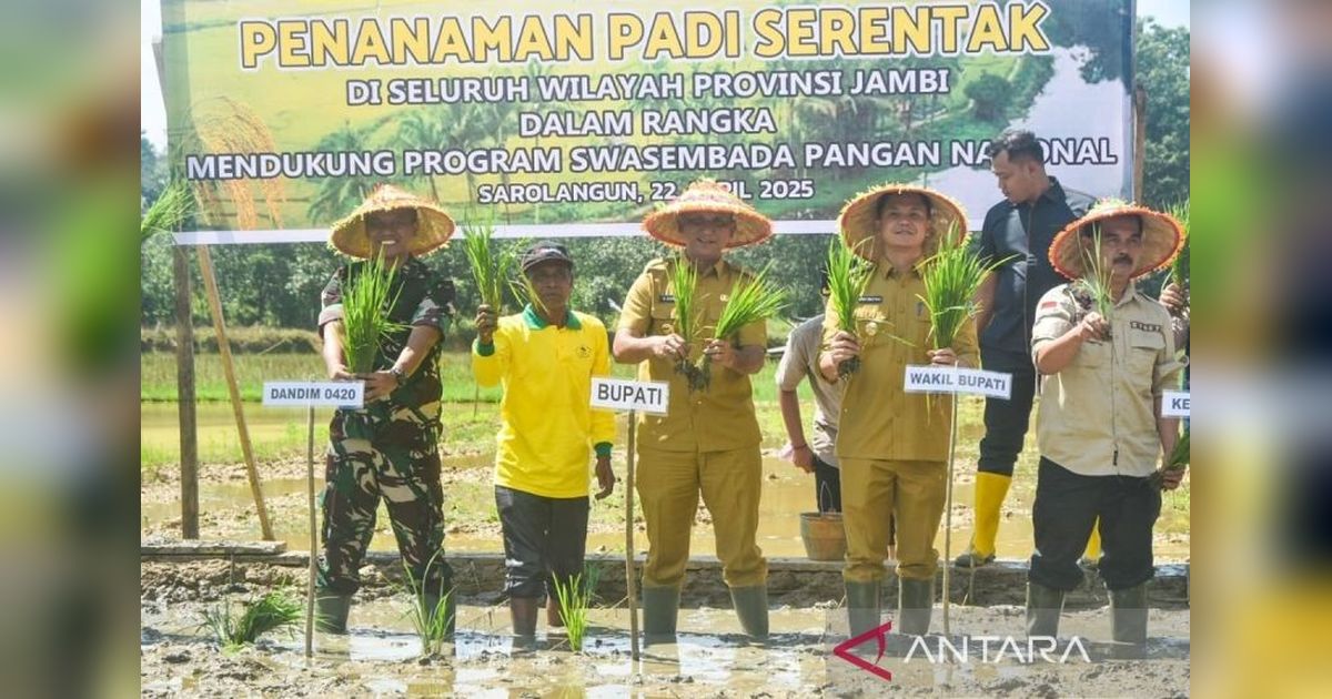 Sarolangun Targetkan 7.413 Hektare Sawah untuk Swasembada Pangan