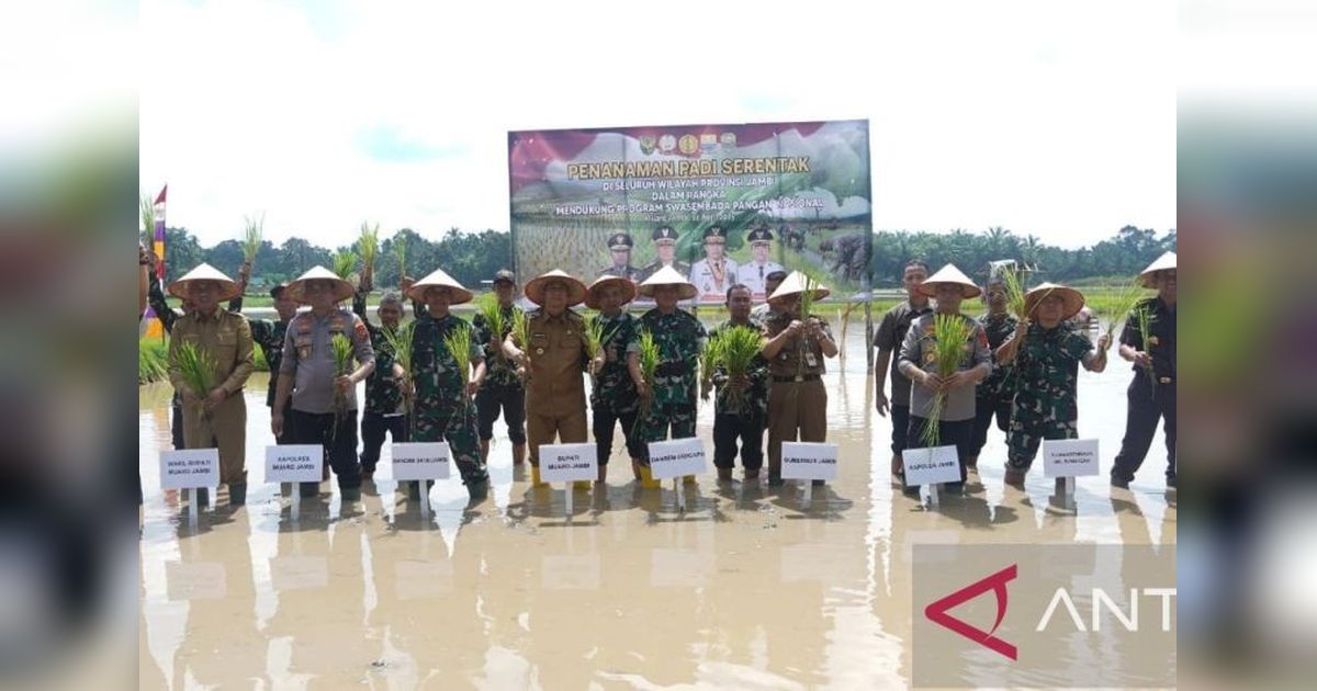 TNI Dukung Penuh Penanaman Padi Serentak di Jambi, Dorong Swasembada Pangan
