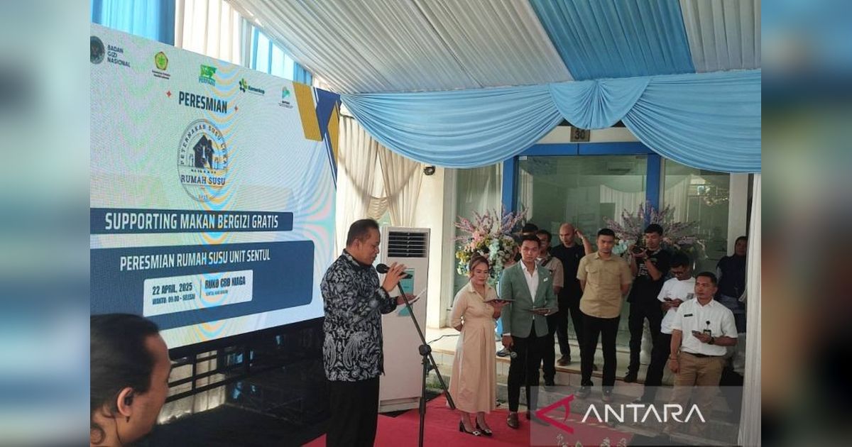 Kementerian Koperasi Dorong Peningkatan Pengolahan Susu Koperasi untuk Program MBG