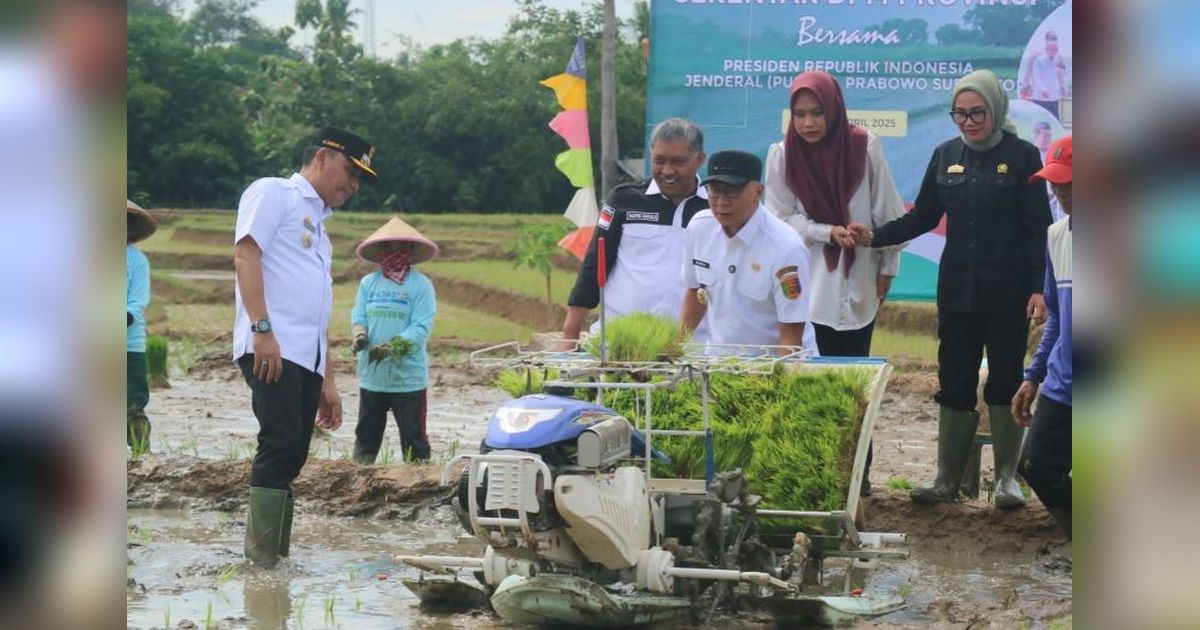 Target Produksi Gabah Lampung 3,5 Juta Ton di 2025: Tantangan dan Solusi