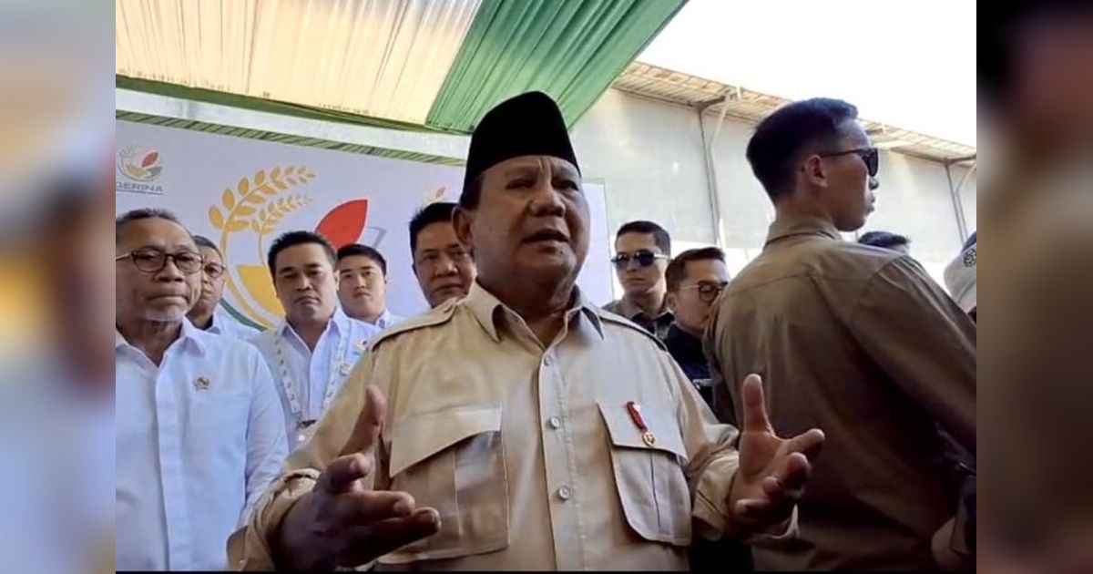 Potensi Lahan Sawah Sumsel Capai 1 Juta Hektare, Presiden Prabowo Dorong Peningkatan Produksi Padi