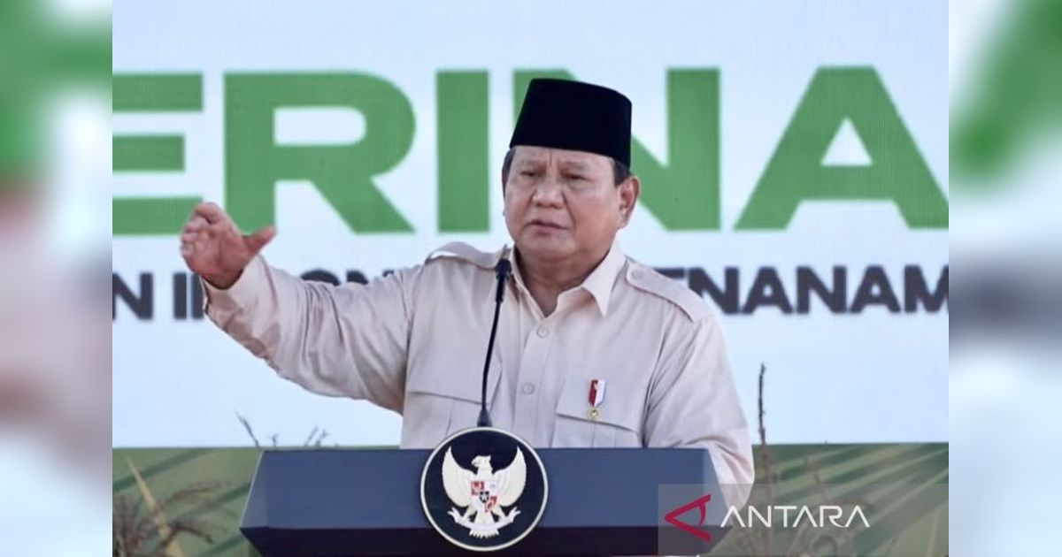 Presiden Prabowo Perintahkan Pembangunan Gudang untuk Tampung Melimpahnya Produksi Beras