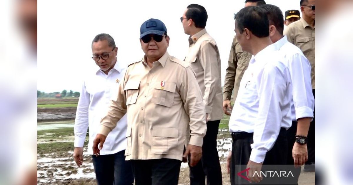 Teknologi Modern Sulap Lahan Rawa Sumsel Jadi Lumbung Pangan Baru