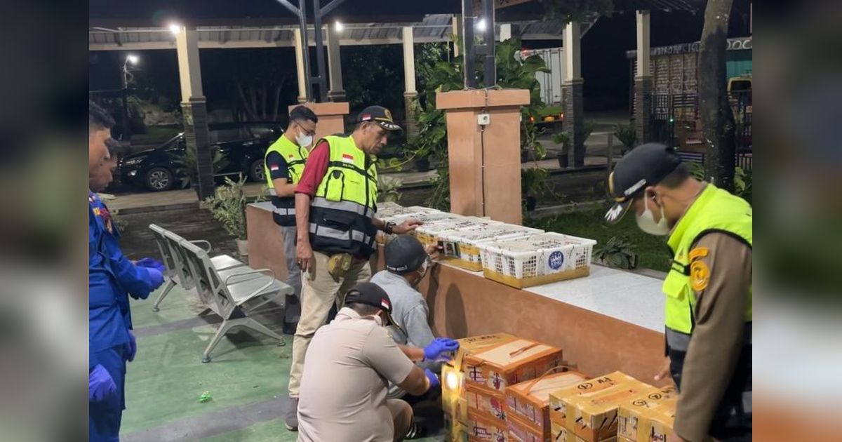 326 Burung Dilindungi Digagalkan Penyelundupan di Lampung, Pelaku Terancam 2 Tahun Penjara