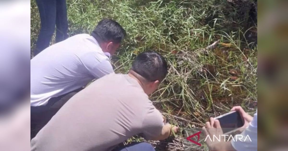 Bangka Selatan Jalin Kerja Sama Internasional untuk Selamatkan Ikan Endemik Tempala Mirah