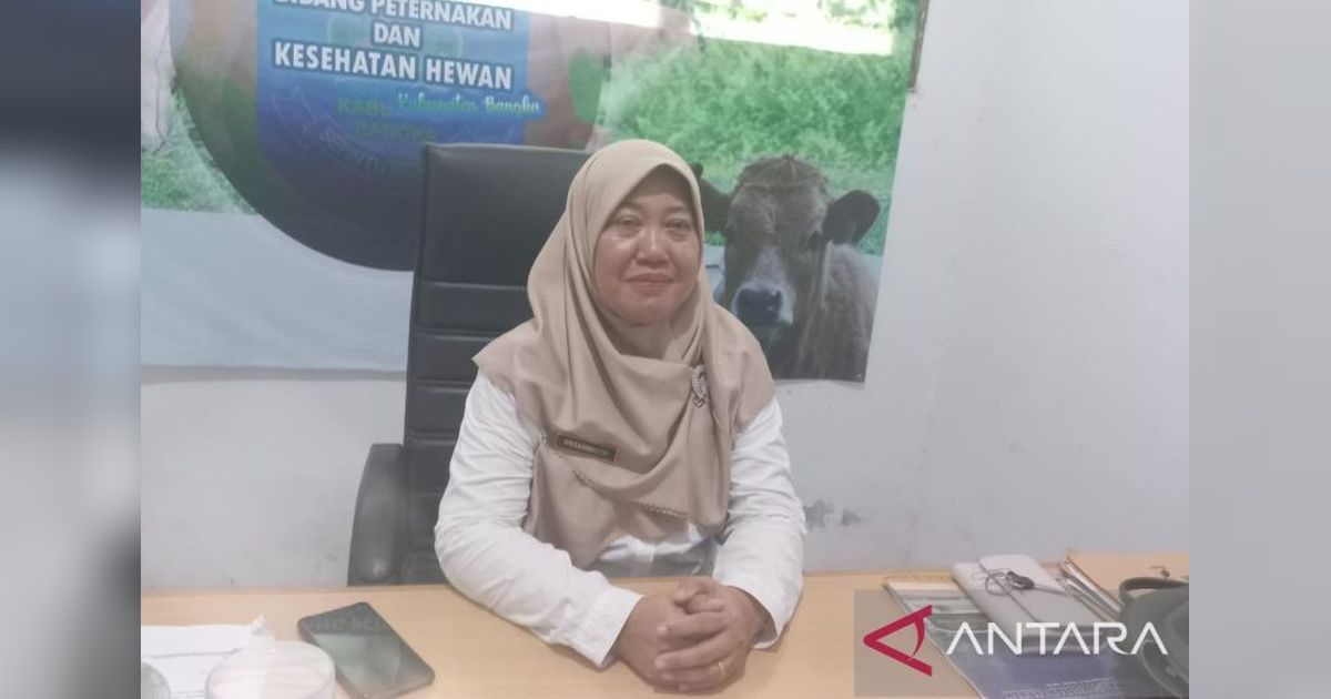 Bangka Belitung Perketat Pengawasan Hewan Kurban Jelang Idul Adha 2025