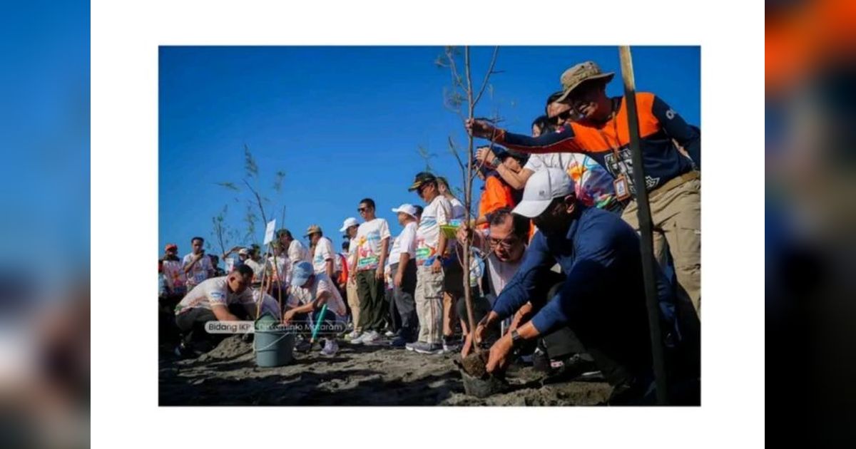 Wali Kota Mataram Ajak Warga Jaga Pantai Lewat Penanaman 2.025 Pohon