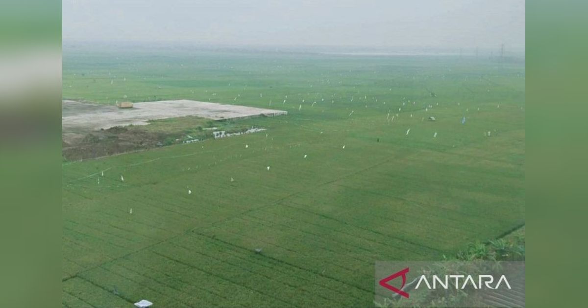 Karawang Jaga Lahan Pertanian, Wamentan Apresiasi Kebijakan Pemda