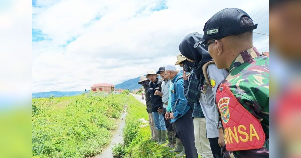 Unja Survei 7.023 Hektare Lahan Rawa untuk Optimalisasi Pangan Nasional
