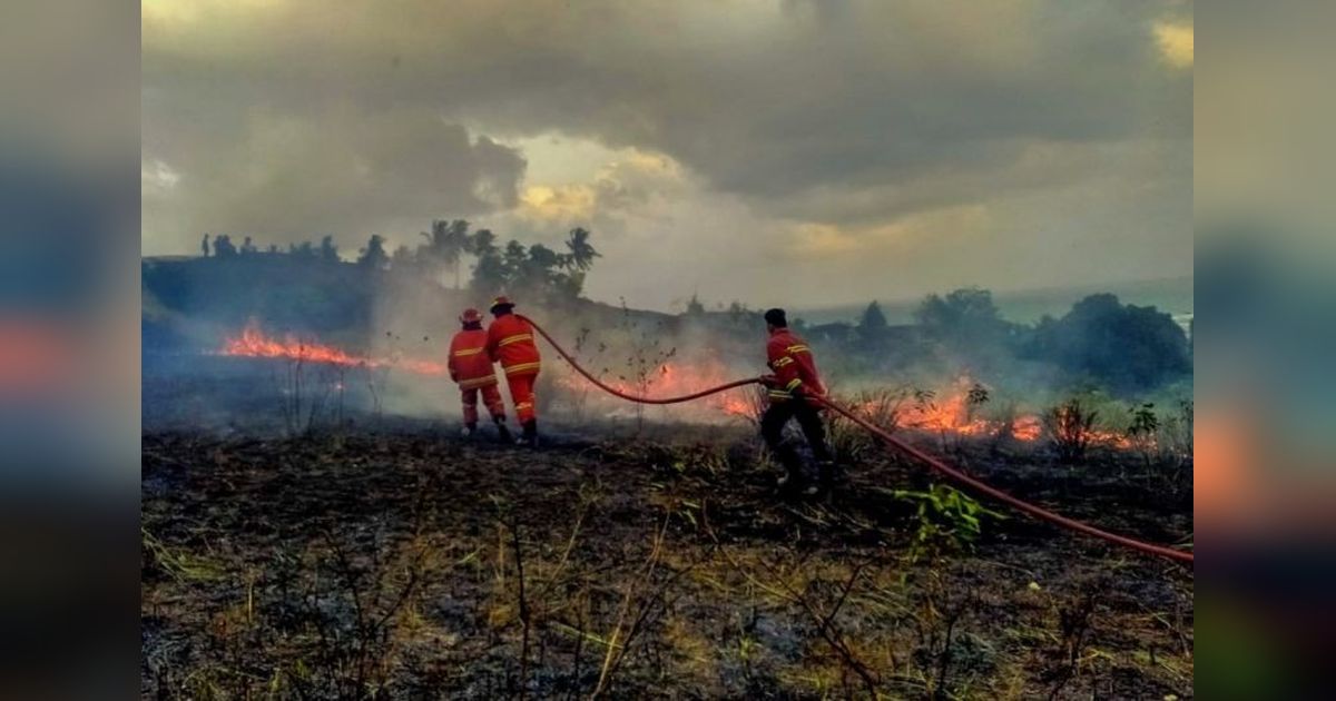 Natuna Keluarkan Peringatan Dini Bencana Kekeringan: Waspada Karhutla!