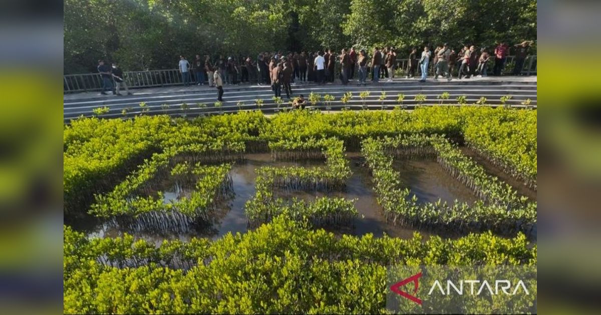 Tahura Ngurah Rai: Kawasan Mangrove G20 Segera Jadi Objek Wisata Premium