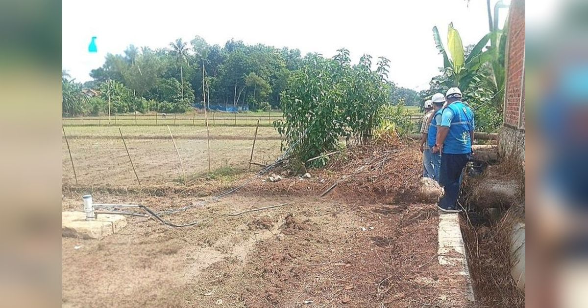 PLN Lampung Bangun SPLU, Tingkatkan Produktivitas Pertanian di Desa Pejambon